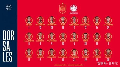 16年欧洲杯西蒙（16年欧洲杯西班牙大名单）